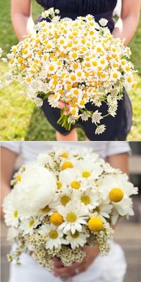 عروسی عروسی گل عروس 