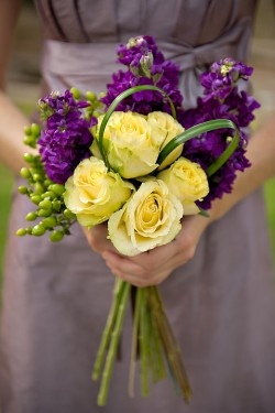 عروسی عروسی گل عروس 